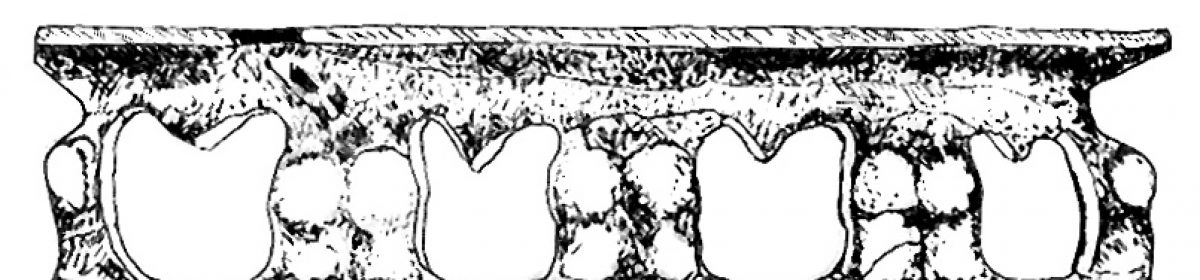 cropped-frumusica2.jpg
